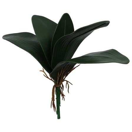FRCOLOR Branch of Phalaenopsis Orchid Leaf for Home Office Decoration (Green)