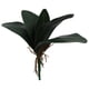 thumbnail image 5 of Rama de hoja de orquídea Phalaenopsis para decoración de oficina en casa (verde), 5 of 5