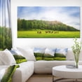 thumbnail image 1 of Cows on Field Panorama - Landscape Canvas Art Print, 1 of 4