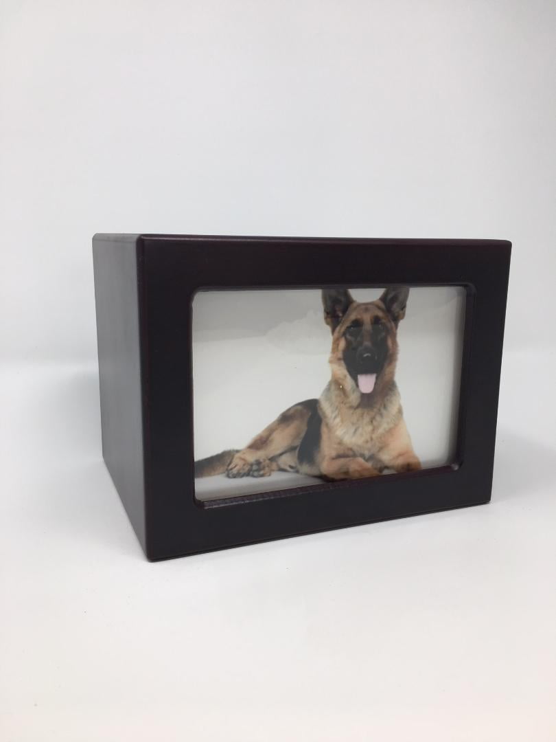 Angel Star Box Urn Dog Paw Prints with Small Photo Frame 16 Metal Multi-Colour 