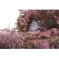 thumbnail image 2 of Entropy, Timothy 18x13 Gold Ornate Wood Framed with Double Matting Museum Art Print Titled - Pink Landscape 7, 2 of 4