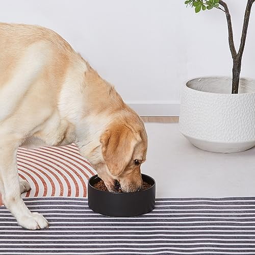 6'' Ceramic Dog Bowl - 30Oz Classic Dogs Food & Water Bowl for Small and Medium Breed Dogs, Heavy Duty Non-Slip Dog Dishes, Food Grade Stoneware Pet Bowl, Dishwasher & Microwave Safe, Black