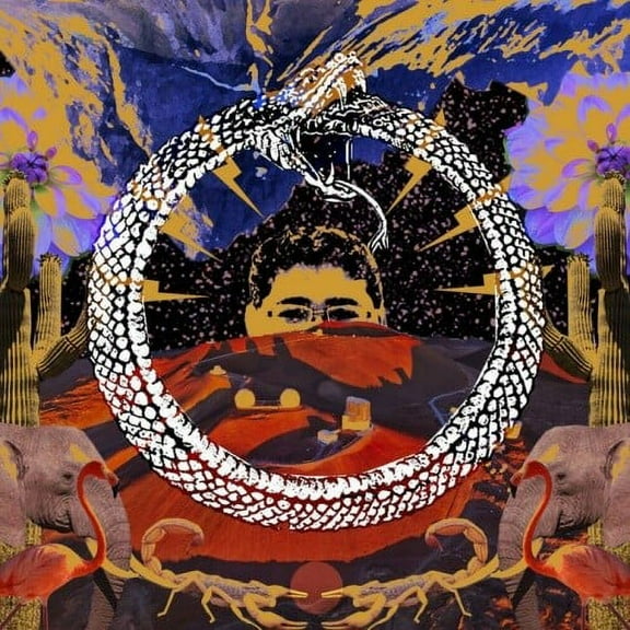 Stone House on Fire - Neverending Cycle - Music & Performance - Vinyl