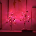 thumbnail image 4 of Decoración de San Valentín Efunly: árbol de abedul iluminado de 61 cm, USB y pilas, 4 of 5