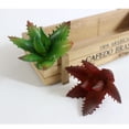 thumbnail image 4 of Plantas Suculentas Realistas Flor Bonsai Manualidades De Bricolaje Flor 103 Soledad  Planta Artificial, 4 of 10