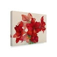 thumbnail image 2 of Trademark Fine Art 'Holiday Amaryllis' Canvas Art by Joanne Porter, 2 of 3