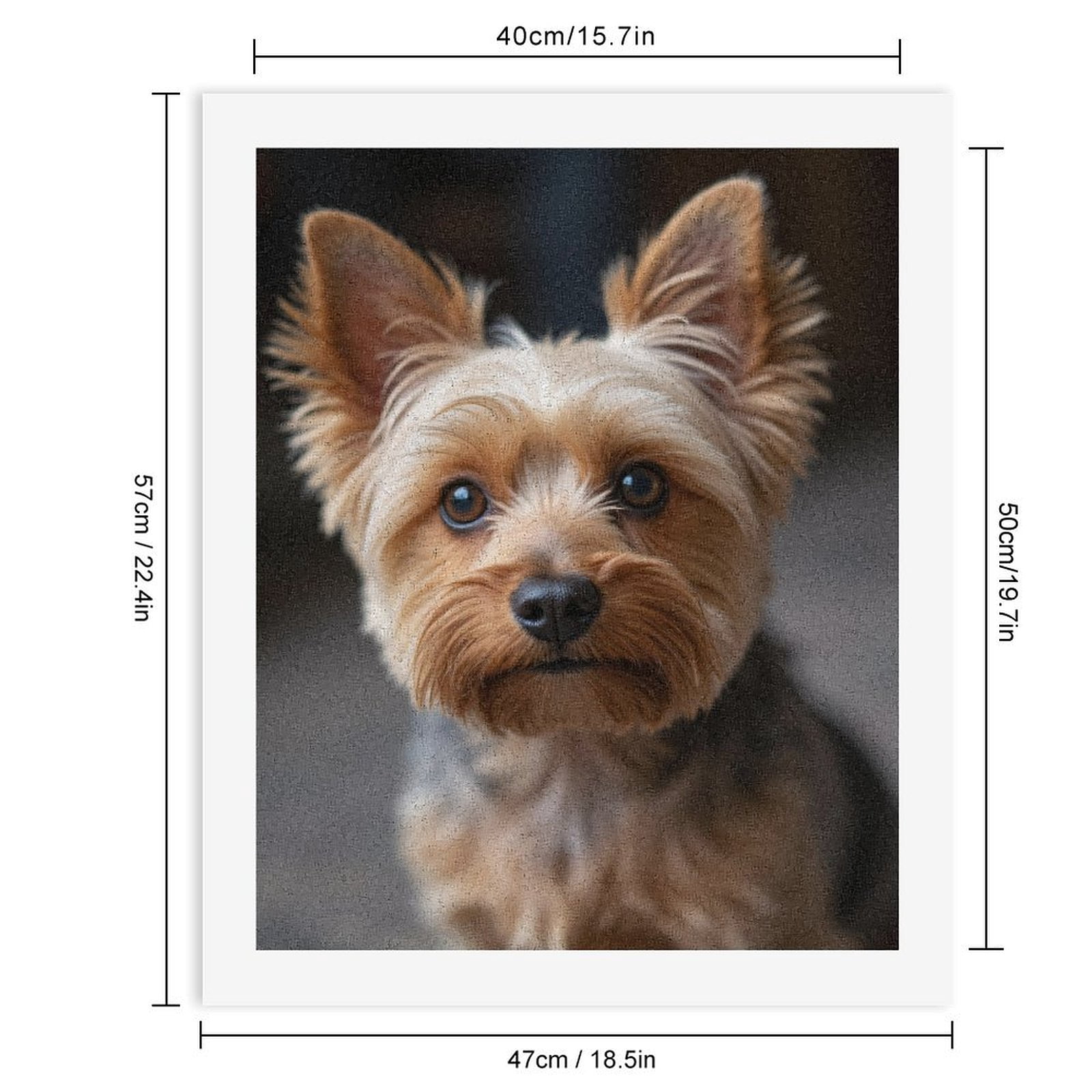 Paint by Numbers Kit for Adults, Brown Eared Yorkie Face Closeup Paint by Numbers, Easy Paint by Numbers Kit for Adults Beginner, DIY Adult Paint by Number Kits on Canvas, 12x16in Home Decor