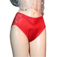 thumbnail image 2 of Puntoco Ropa interior para mujer, bragas, ropa interior sexy transparente de encaje hasta la cintura para mujer, 2 of 4