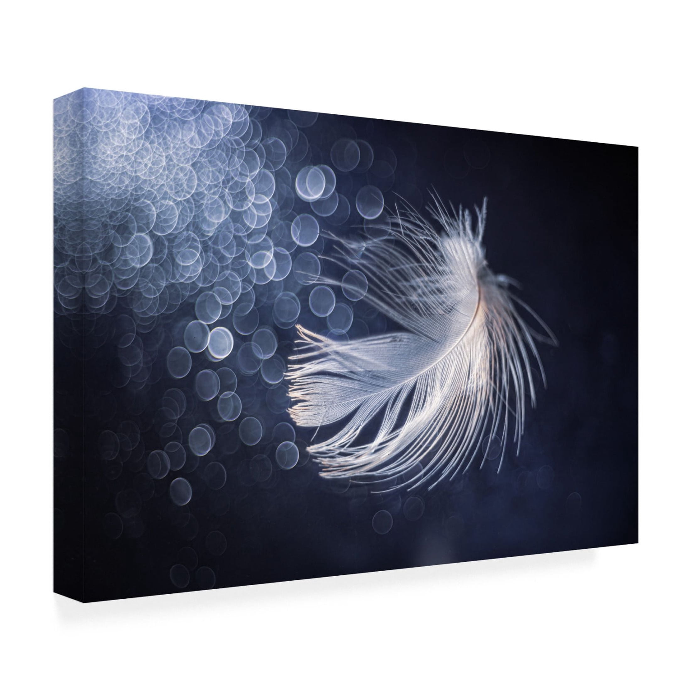 Canvas Wall Art - Igor Kopcev 'Placidity' Wall Art for Living Room, Bedroom, or Office Décor by Trademark Fine Art - 32 x 22 Inches