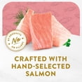 thumbnail image 5 of Purina Fancy Feast Appetizers Wet Cat Food, Steamed Alaskan Salmon, 1.1 oz Trays, 10 Pack, 5 of 10
