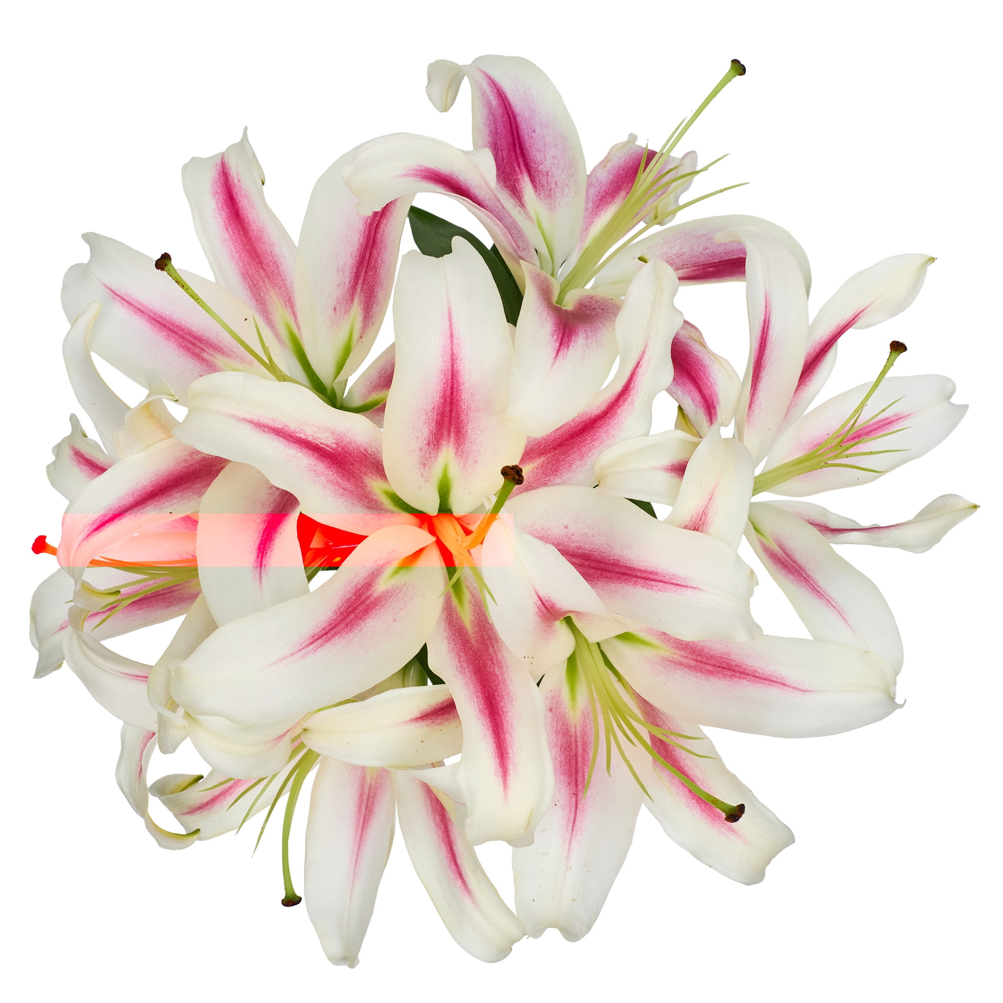 Oriental Lilies Flower Bunch Small, Colors May Vary