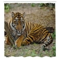 thumbnail image 2 of Ambesonne Orange Cat Shower Curtain, Lying Tiger Photo Print, 69"Wx84"L, Caramel Olive Green, 2 of 4