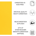 thumbnail image 2 of Cdstk Stash Builder 12x12 65lb 25pc Pk DaffodilUPC, 2 of 4