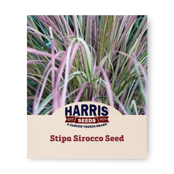 Harris Seeds - Stipa Seeds - Sirocco Multi-Pelleted Variety - Non-GMO - 100 Seeds