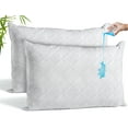thumbnail image 1 of Canadian Linen Bamboo Viscose Waterproof Pillow Protector Zipper Closure Flower Design 20"x26" Standard 2 pack Soft Absorbent Breathable Cooling Fabirc, 1 of 8