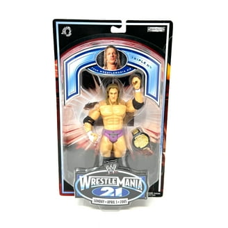 WWE Wrestling Classic Superstars Series 1 The Rockers Shawn