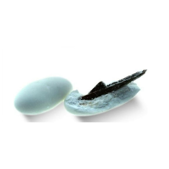 Dulcefina, White cinnamon Sticks Confetti (Canellini) (2.200 Lbs)