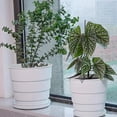 thumbnail image 2 of KYAIGUO Thickened Resin Plant Pots Breathable Structure Design Promotes Root Development for Most Plants Such as Moonflower, Hydrangea, Monarch, Camellia, 2 of 6
