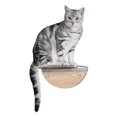 thumbnail image 3 of MYZOO Étagère Murale Flottante Transparente Lack pour Chat, 3 of 8