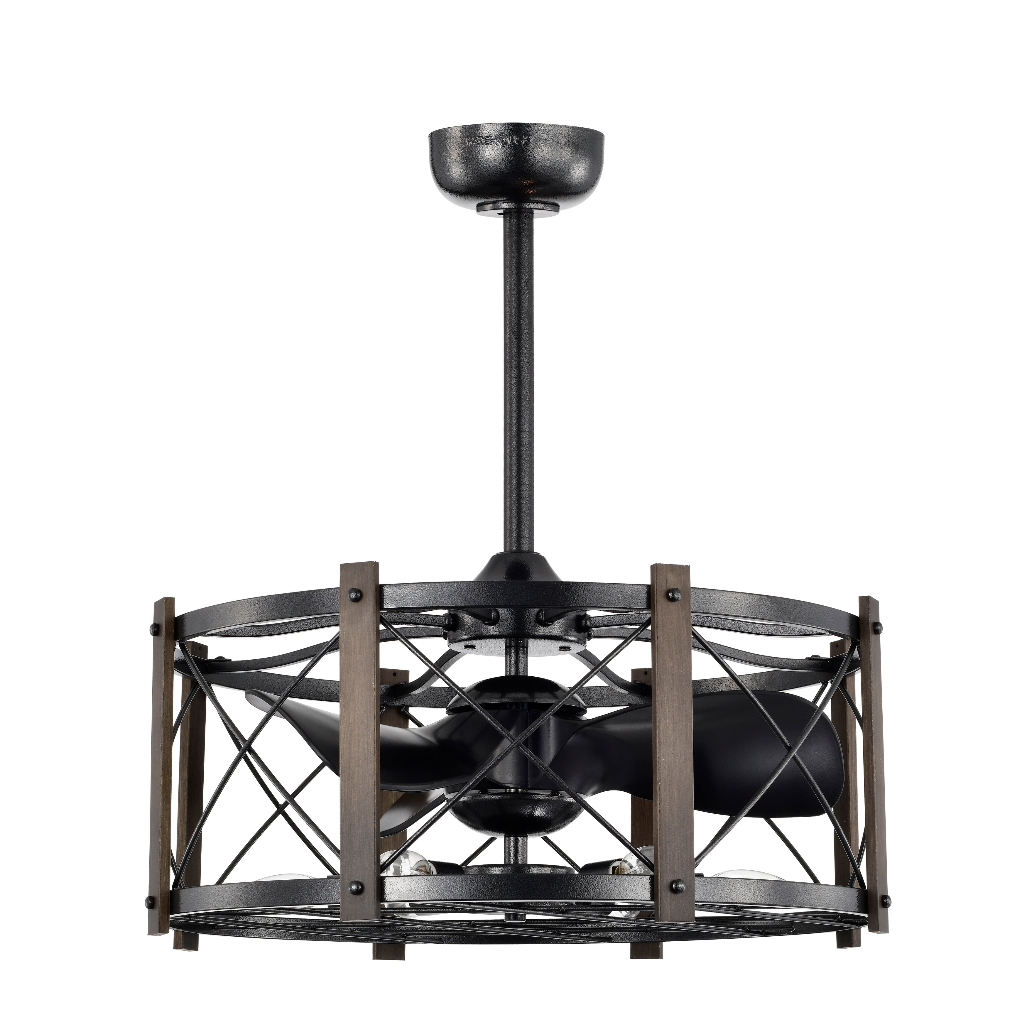 Damon 24 in. Indoor Black Finish Ceiling Fan with Light Kit and Remote