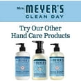 thumbnail image 7 of (6-Pack) Mrs. Meyer's Foaming Hand Soap, Rainwater, 10 oz, 7 of 7
