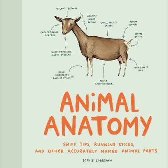Pre-Owned Animal Anatomy: Sniff Tips, Running Sticks, and Other Accurately Named Animal Parts (Hardcover) 1452174490 9781452174495