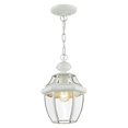 thumbnail image 3 of Livex Lighting Lumiere Suspendue Extérieure 1 Lumière 2152-02, 3 of 5
