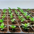 thumbnail image 4 of ZeeDix Organic Compressed Coco Coir Brick Soil, 20 Piece, 4 of 7