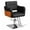 Black, variant on Hair Salon Chair, Stylist Chair with Heavy Duty Hydraulic Pump, 360 Degrees Rolling Swivel Hair Salon Chair, Beauty Salon Chair Equipment, Max Load Weight 330 Lbs Lorelo