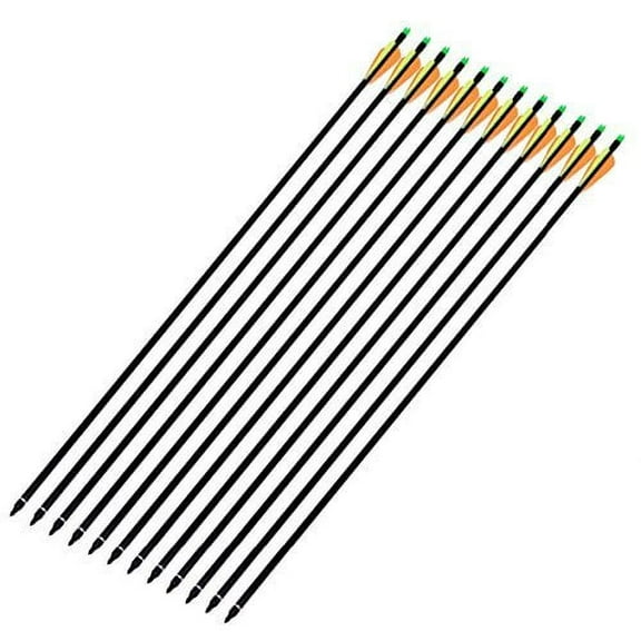 12Pcs/lot Fiberglass Arrow 30'' inch Archery Hunting Nock Proof Fiberglass Arrow Steel Point 30-80lbs For Recuve & Compound Bow