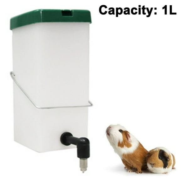 No Leak Rabbit Water Bottle