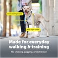 thumbnail image 4 of Arnés para perro PetSafe Easy Walk Comfort antitirones azul XS, 4 of 8