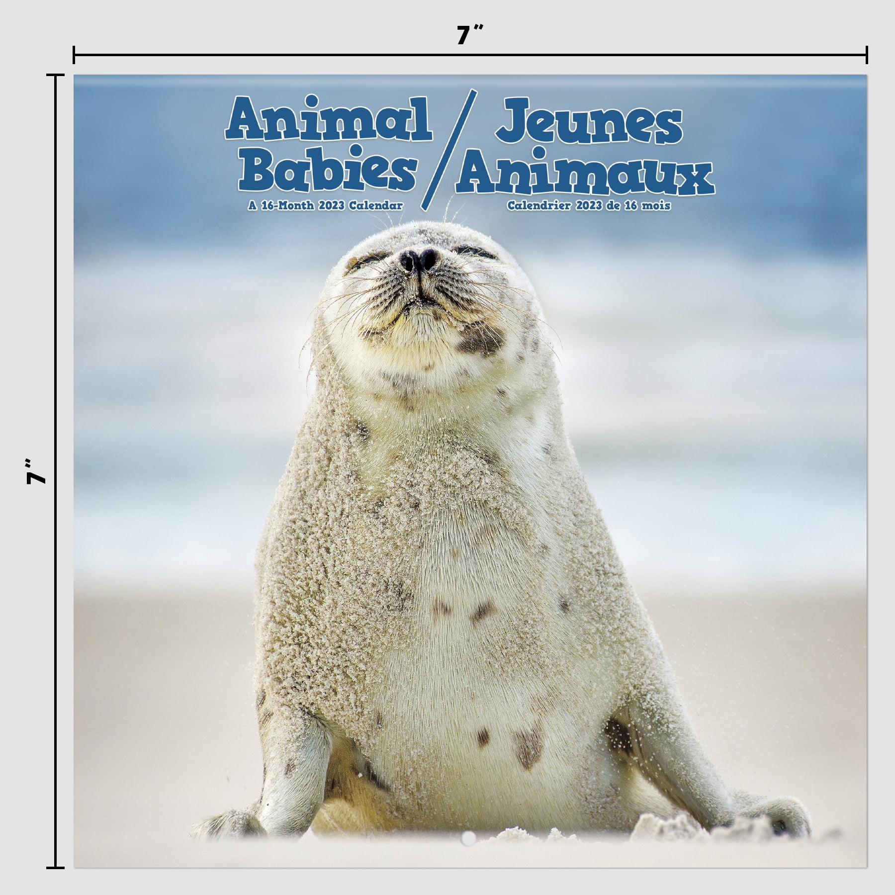 Trends International 2023 Animal Babies (Bilingual French) Mini Wall  Calendar & Pushpins 