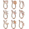 thumbnail image 4 of Bangcool Fake Nose Cuff Rhinestone 9PCS Mini Non Piercing Faux Nose Ring Ear Clip Jewelry, 4 of 6