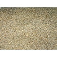 thumbnail image 3 of Lewis Family Farm 10 lb Cereal Rye Grain Seeds Open Pollinated Cover Crop Forage Deer Plot Food, 3 of 3