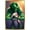 Gold Framed Version, variant on Marvel Comics - She-Hulk - Totally Awesome Hulk - Cover #4 Wall Poster, 22.375" x 34", Framed