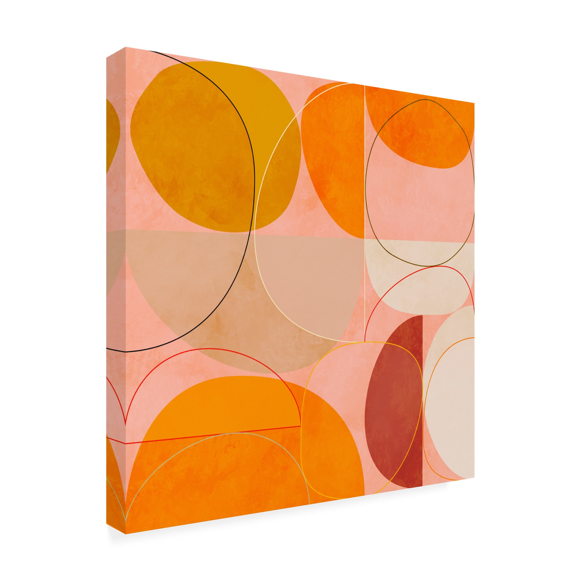 Trademark Fine Art Ana Rut Bre Mid Century Curry Yellow Blush Spring Canvas Wall Art