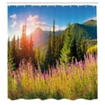 thumbnail image 3 of Ambesonne Nature Shower Curtain, Spring Flowers Mountain, 69"Wx84"L, Green Pink, 3 of 5