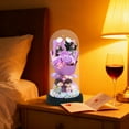 thumbnail image 6 of Tyidzon Glass Rose, Forever Flowers Bouquet with Lights Gifts for Women Preserved Flowers for Valentine's Day Mother's Day Anniversary Birthday Gifts for Women Girlfriend Wife, 6 of 7