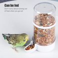 thumbnail image 3 of Comedero automático transparente para pájaros, estación de alimentación automática para pájaros, se puede colgar, comederos de gran capacidad, taza de alimentación, alimentador de agua, 3 of 8