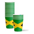 thumbnail image 3 of Jamaican Flag Birthday Party Supplies Set Plates Napkins Cups Tableware Kit for 16, 3 of 8
