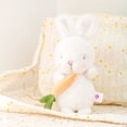 thumbnail image 2 of DPTALR Creative Toy Star Carrot Rabbit Doll Bunny Plush Toy Baby Comfort Doll, 2 of 3