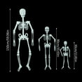 glow-in-the-dark-skeleton-props-bar-decorations-fluorescent-skeleton