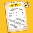 thumbnail image 3 of Cerveza Artesanal Kross 6 Pack Rosé, Stout y Golden 330ml, 3 of 4