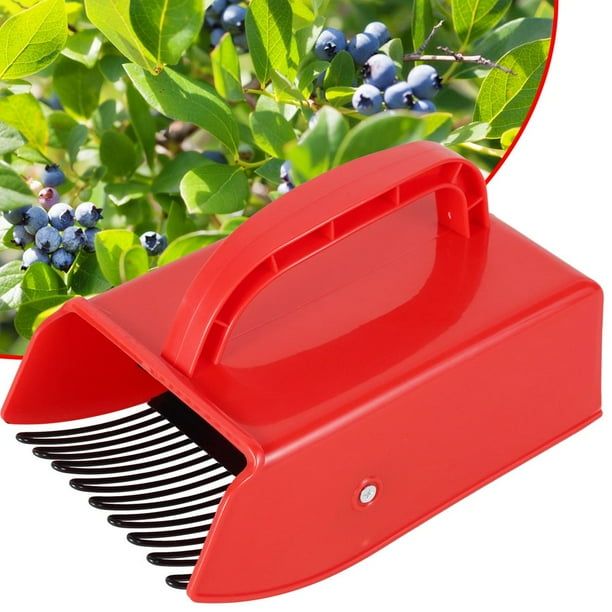 Peigne Cueilleur De Fruits Orion – Pour Groseilles, Myrtilles – Rouge – Neuf