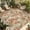 Pink Beige, variant on Rose Fall Outdoor Rug for Patio/Deck/Porch, Non-Slip Large Area Rug 5 x 8 Ft, Thanksgiving Vintage Pastoral Botanical Flowers Indoor Outdoor Rugs Washable Area Rugs, Camping Rug Carpet Runner