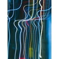 thumbnail image 2 of Cooke, William 25x32 Gold Ornate Wood Framed with Double Matting Museum Art Print Titled - Stems I, 2 of 4