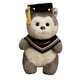 thumbnail image 2 of Sombrero de graduación de 4,7 pulgadas, peluche de tela suave, multicolor, regalo de graduación, recuerdo para decoración del hogar, accesorio para fotos de celebración de graduados, decoració, 2 of 5