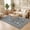 Black, variant on ICEANT 5'x7' Area Rug, Rustic Style Rugs for Entryway Living Room Bedroom, Farmhouse Non-Slip Country Carpet Indoor Machine Washable, Pink
