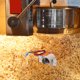 thumbnail image 4 of RUNROTOO Soporte De Con Cable Para Máquina De Palomitas Accesorio Duradero, 4 of 8
